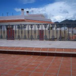 Balcón de hierro con decoración de fundición